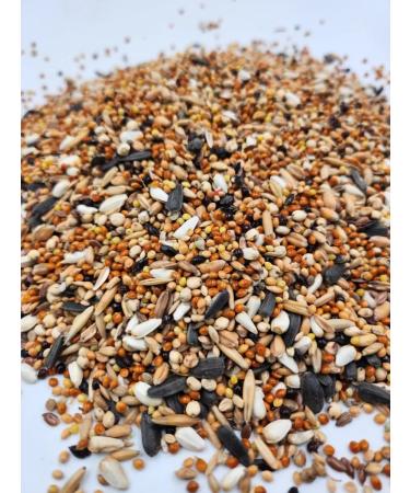 ROYAL KLAR Feed for parrots medium and small wavy - Buy Online on GoSupps.com