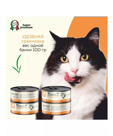Yummy Linea Wet food for cats of all breeds turkey and vegetables 12x100g - Buy Online on GoSupps.com
