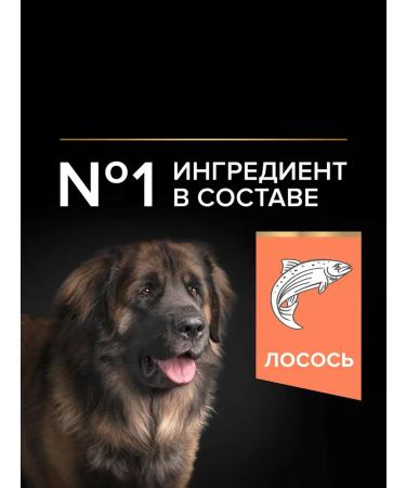 PRO PLAN Dry food for dogs with sensitive skin with salmon 14 kg - Buy Online on GoSupps.com