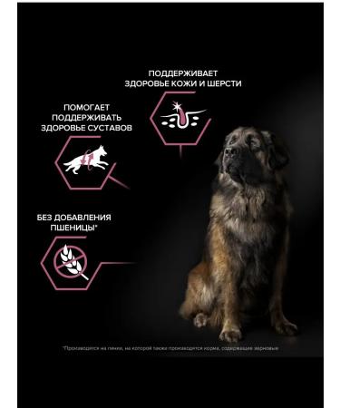 PRO PLAN Dry food for dogs with sensitive skin with salmon 14 kg - Buy Online on GoSupps.com