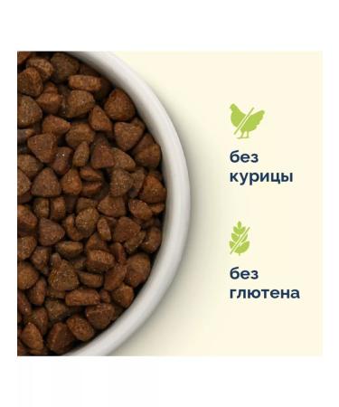 Advance Holistic Dry food for dogs lamb brown rice 10 kg - Buy Online on GoSupps.com