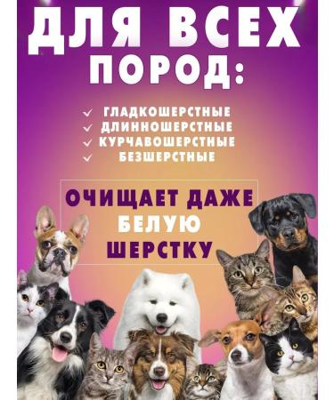 aliver Shampoo and conditioner for cats and dogs - Buy Online on GoSupps.com