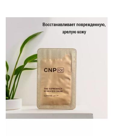 CNP Korean eye cream from dark circles 25 pcs * 1 ml - Buy Online on GoSupps.com