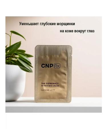 CNP Korean eye cream from dark circles 25 pcs * 1 ml - Buy Online on GoSupps.com
