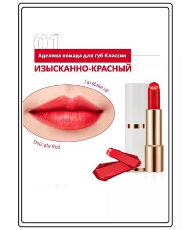 Atomy Atomi Lip Ruzh lipstick Adelica Lip Rouge Classic 01 - Buy Online on GoSupps.com