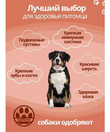 DILLY Dry food for dogs 14 kg with liver - Buy Online on GoSupps.com