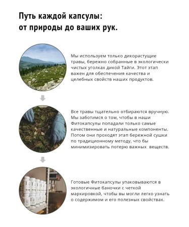 Earth Mama Phytocapsules "Slenderness" 60 pcs - Buy Online on GoSupps.com