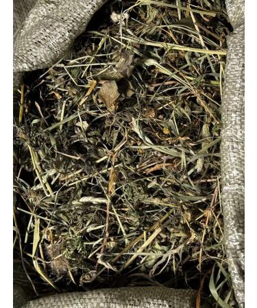 ChinZoo Hay with a kid 0.5 kg - Buy Online on GoSupps.com