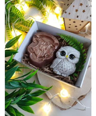 FlorDecor A set of soap souvenirs from Hogwarts Harry Potter - Buy Online on GoSupps.com