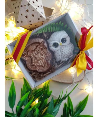 FlorDecor A set of soap souvenirs from Hogwarts Harry Potter - Buy Online on GoSupps.com