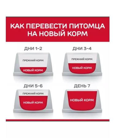 Alleva Renal-Antiox for cats to maintain kidney function 10kg - Buy Online on GoSupps.com