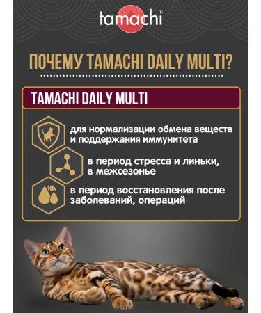 Tamachi Daily Multi cat vitamins for immunity 100 pcs - Buy Online on GoSupps.com