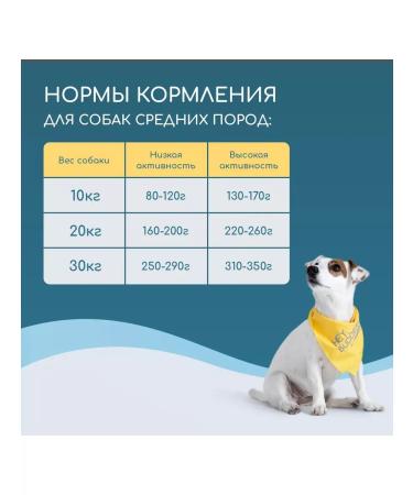 HEY BUDDEE Dry food for long -haired dogs 5 kg - Buy Online on GoSupps.com