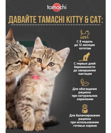 Tamachi Vitamins for pregnant cats and kittens Kitty & CAT - Buy Online on GoSupps.com
