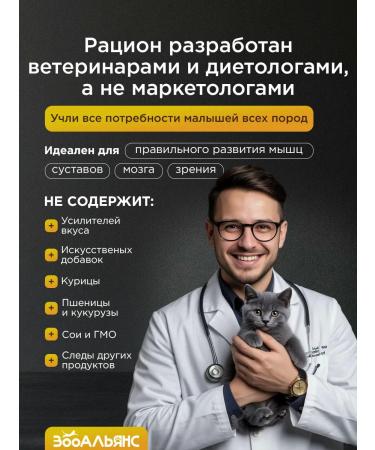 ZOOALLIANCE Dry food for kittens of all rocks 5 kg - Buy Online on GoSupps.com