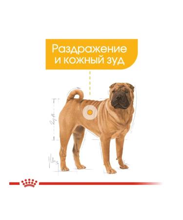 ROYAL CANIN Dry food dermacomfort for dog dogs 10 kg - Buy Online on GoSupps.com