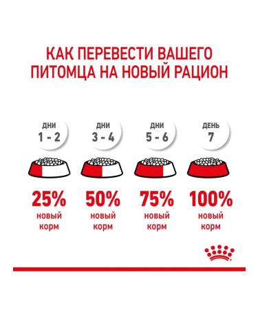 ROYAL CANIN Dry food Medium Starter for medium breeds 12 kg - Buy Online on GoSupps.com