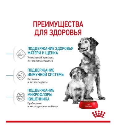 ROYAL CANIN Dry food Medium Starter for medium breeds 12 kg - Buy Online on GoSupps.com
