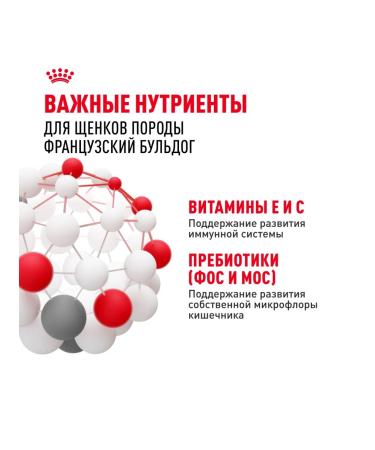 ROYAL CANIN Dry food for breed puppies French bulldog 10 kg - Buy Online on GoSupps.com