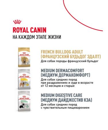 ROYAL CANIN Dry food for breed puppies French bulldog 10 kg - Buy Online on GoSupps.com