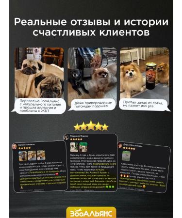 ZOOALLIANCE Dry food for dogs of small rocks 5 kg - Buy Online on GoSupps.com