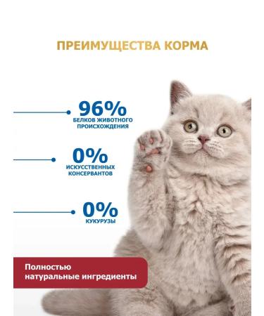 Farmina Dry food for kittens chicken 1.5 kg - Buy Online on GoSupps.com