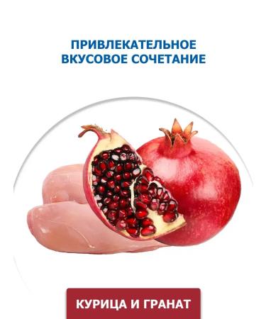 Farmina Dry food for kittens chicken 1.5 kg - Buy Online on GoSupps.com