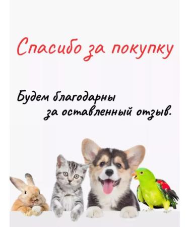 Amstrel Bio shampoo for dogs and cats from fleas and ticks - Buy Online on GoSupps.com