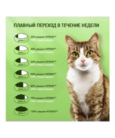 Kitekat Feed for cats chicken is appetizing 20pcs 350 g - Buy Online on GoSupps.com