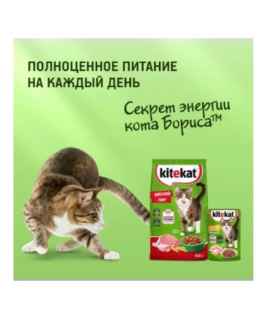 Kitekat Feed for cats chicken is appetizing 20pcs 350 g - Buy Online on GoSupps.com