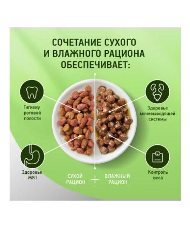 Kitekat Feed for cats chicken is appetizing 20pcs 350 g - Buy Online on GoSupps.com