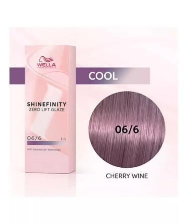 WELLA PROFESSIONALS Shinefinity gel cream hair dye 06 6 60ml