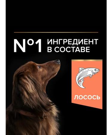 PRO PLAN Dry food for small dogs with sensitive skin 7 kg - Buy Online on GoSupps.com