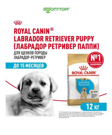 ROYAL CANIN Dry food for labrador breed puppies 12 kg