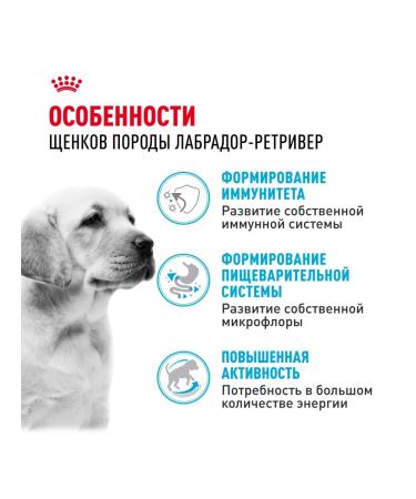 ROYAL CANIN Dry food for labrador breed puppies 12 kg - Buy Online on GoSupps.com