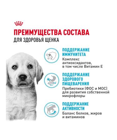 ROYAL CANIN Dry food for labrador breed puppies 12 kg - Buy Online on GoSupps.com