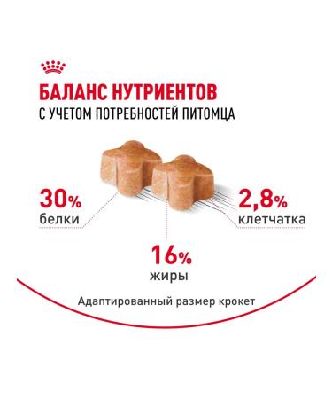 ROYAL CANIN Dry food for labrador breed puppies 12 kg - Buy Online on GoSupps.com