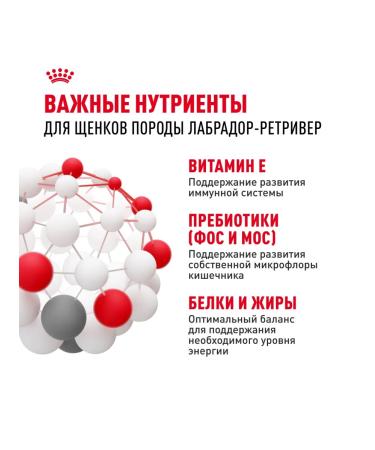 ROYAL CANIN Dry food for labrador breed puppies 12 kg - Buy Online on GoSupps.com