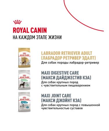 ROYAL CANIN Dry food for labrador breed puppies 12 kg - Buy Online on GoSupps.com