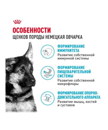 ROYAL CANIN Dry food for breed puppies German shepherd chicken 12 kg - Buy Online on GoSupps.com