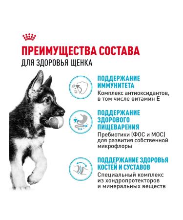 ROYAL CANIN Dry food for breed puppies German shepherd chicken 12 kg - Buy Online on GoSupps.com