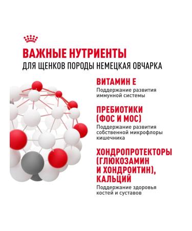 ROYAL CANIN Dry food for breed puppies German shepherd chicken 12 kg - Buy Online on GoSupps.com