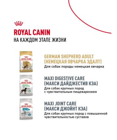ROYAL CANIN Dry food for breed puppies German shepherd chicken 12 kg - Buy Online on GoSupps.com