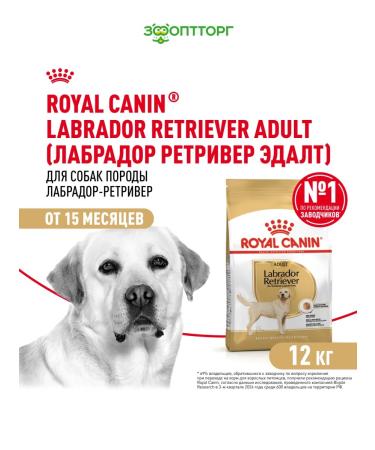 ROYAL CANIN Dry food for dogs of the breed Labrador 12 kg