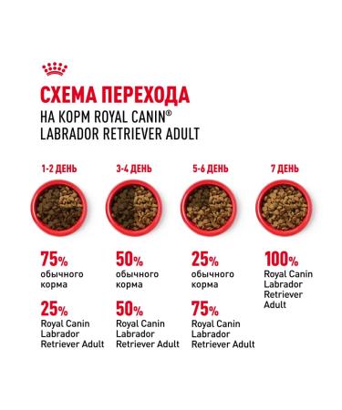 ROYAL CANIN Dry food for dogs of the breed Labrador 12 kg - Buy Online on GoSupps.com