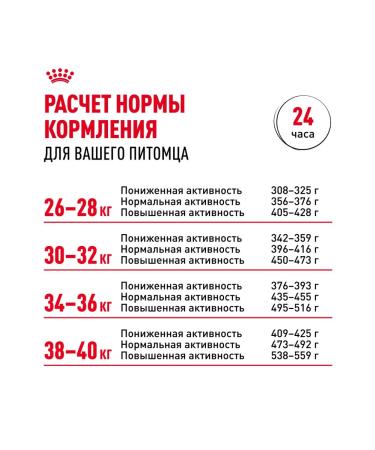 ROYAL CANIN Dry food for dogs of the breed Labrador 12 kg - Buy Online on GoSupps.com