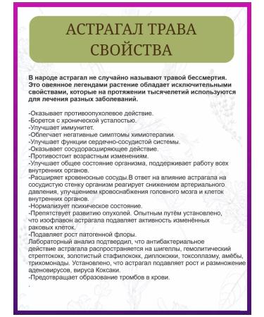 Drink the decoction Astragal Altai grass - Buy Online on GoSupps.com