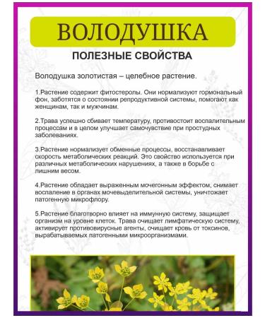 Drink the decoction Volodushka grass - Buy Online on GoSupps.com