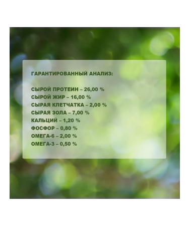 Alleva Dry Natural food for large medium dogs 2 kg 2pcs - Buy Online on GoSupps.com