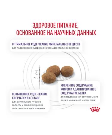 Royal Canin Veterinary Diet Dry food for castrated cats with excess weight 8 kg - Buy Online on GoSupps.com